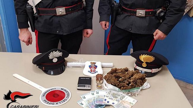 Trapani, cani a guardia della droga: un arresto dai Carabinieri