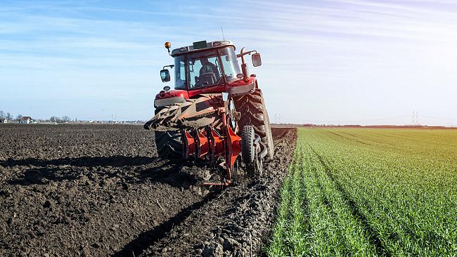 Agricoltura, lettera dei sindaci trapanesi: 
