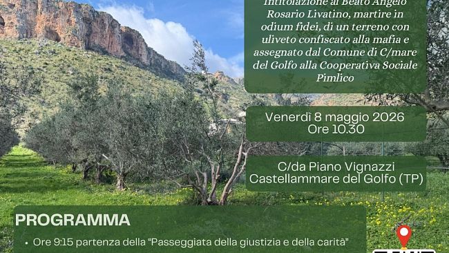 Dalla mafia alla comunità: a Castellammare l’uliveto della rinascita intitolato al giudice Livatino