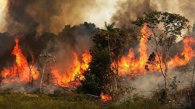Campobello: prevenzione rischio d’incendi, anche quest’anno il sindaco Castiglione ha emanato un’ordinanza