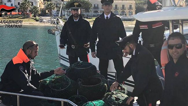 Recuperati e rigettati in mare 15.000 ricci