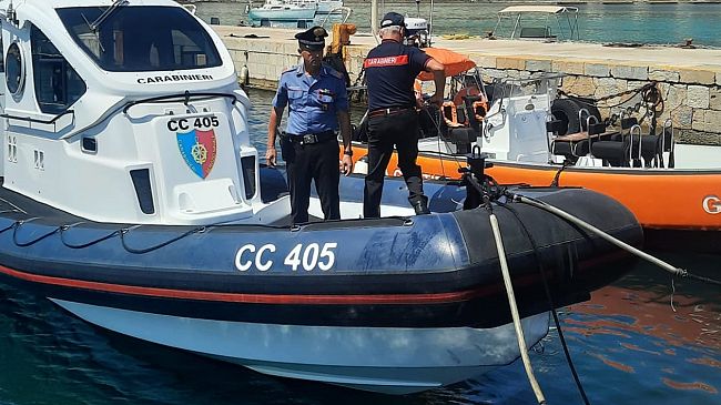 ​Egadi. Carabinieri salvano quattro tartarughe in difficoltà - VIDEO