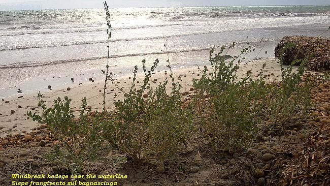 A Mazara del Vallo un progetto contro l’erosione eolica della spiaggia