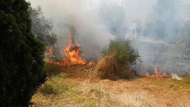 Petrosino, emanata ordinanza per la prevenzione dagli incendi boschivi  