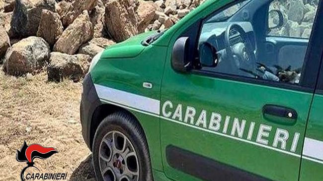 ​San Vito Lo Capo. Cavalli senza riparo e con poca acqua, denunciato il proprietario