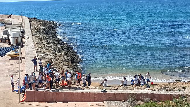 A Capo Granitola il primo corso di formazione sulla gestione dei cetacei spiaggiati vivi