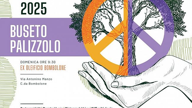 ​Buseto Palizzolo, una “camminata tra gli olivi” per coltivare la pace