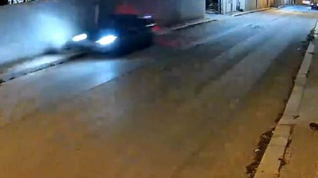 Mazara, alta velocità in via del Mare. Investito un cane davanti l’Oasi Lamia