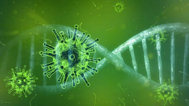 Coronavirus, la situazione a Trapani e provincia: aggiornamento alle 10.00 di lunedì 10 agosto 2020