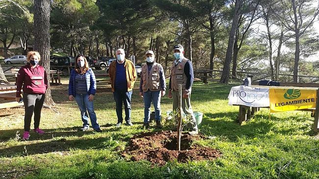Vita, Due iniziative per celebrare la “Festa dell’albero”