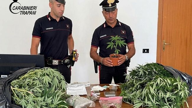 piante-di-marijuana-e-droga-in-casa-arrestati-padre-e-figlio-a-marsala