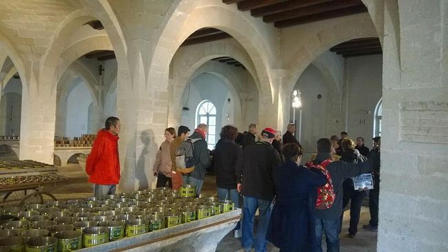 Nuovo arrivo di crocieristi oggi a Favignana