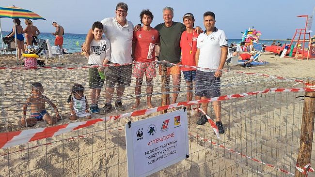 San Vito, tartaruga depone le uova in spiaggia sotto il controllo della Guardia Costiera
