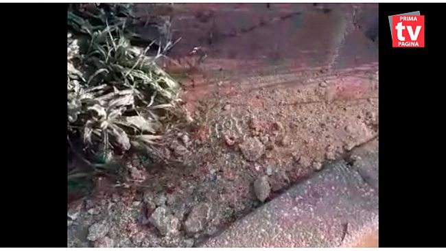 VIDEO – Copiosa perdita idrica nella via Cristoforo Colombo