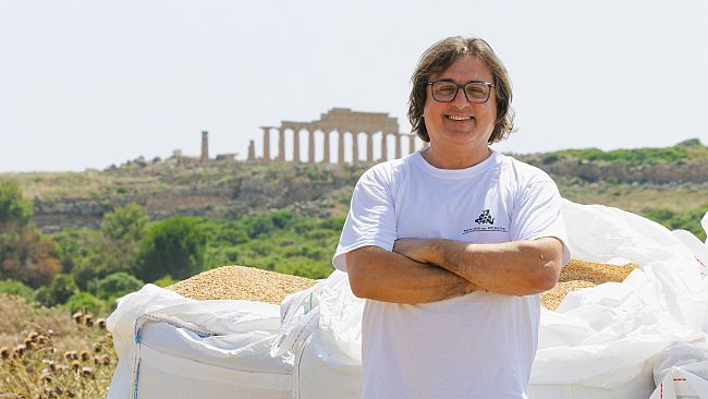 ​Grani antichi di Sicilia: Tumminia, Perciasacchi, Russello dal Parco archeologico di Selinunte ai ristoranti stellati