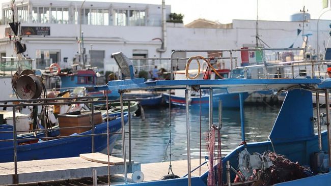 Gal Pesca Trapanese: al via i workshop di animazione territoriale