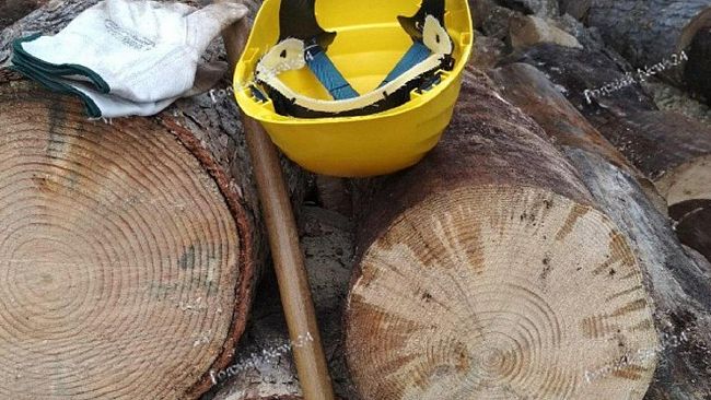 E’ passato un altro anno per gli operai Forestali e forse qualcuno non s’è né accorto