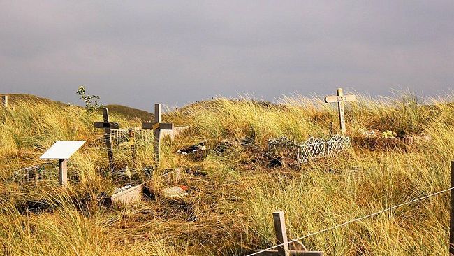 Novità dall’ARS: sepoltura animali al cimitero e funerali laici per i non credenti