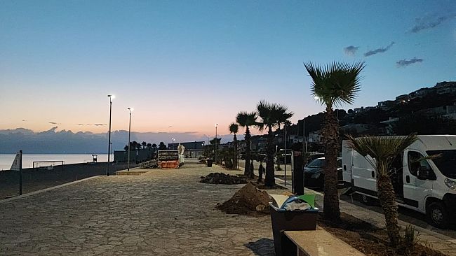 Tocco di verde ad Alcamo marina, piantate 21 palme alla Battigia e in zona Canalotto