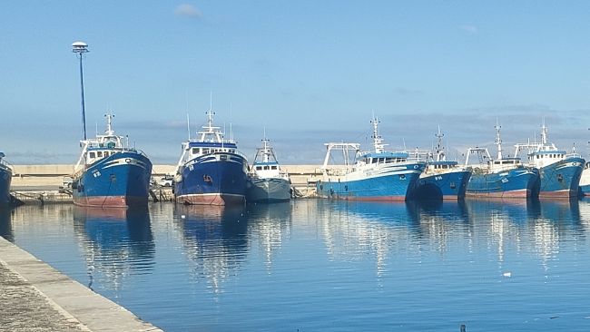 Pesca, 17 milioni di applausi. Quanti soldi arriveranno a Mazara e riusciranno a 