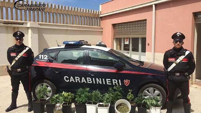 Aveva una piantagione di marijuana in casa. Arrestato dai Carabinieri cuoco trapanese