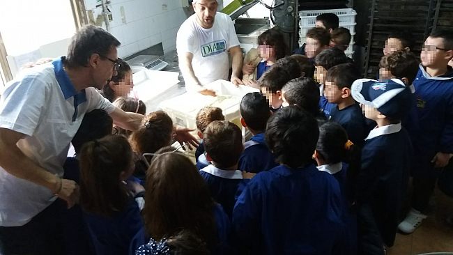 Avviate con successo le attività del progetto ERASMUS all’I.C. “Lombardo Radice – Pappalardo”