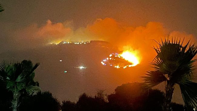 Incendi in Sicilia, Safina (PD) accusa il Governo regionale: 