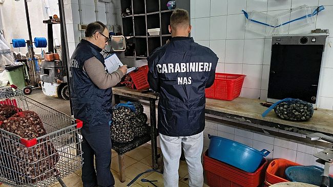 Irregolarità e carenze igieniche: sotto sequestro quintali di prodotto ittico nel Palermitano