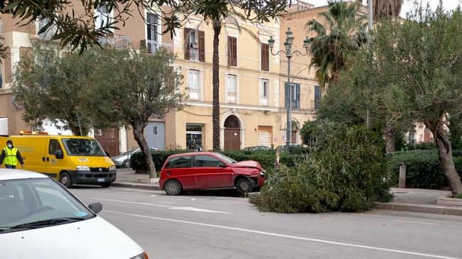 Trapani, rovinoso incidente in via Scontrino: auto spezza in due un albero