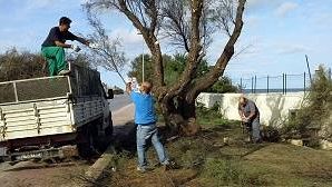 Marsala, verde pubblico, in corso gli interventi nel centro urbano