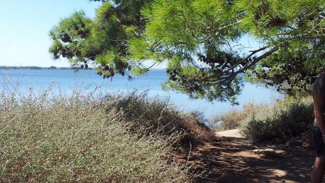 Marsala, L’Isola delle Cicale…Il viaggio di Tago