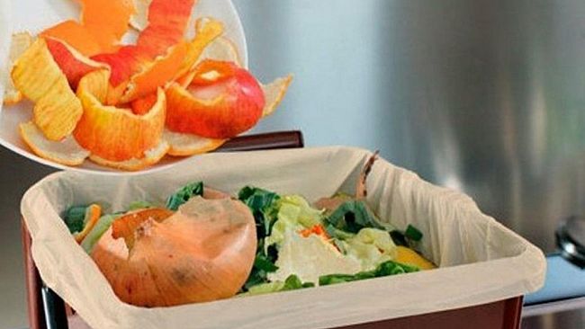 Domani sospesa la raccolta organico a Castelvetrano