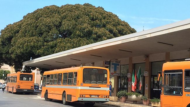 Marsala, trasporto urbano: operativo l'orario estivo dei bus