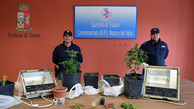 Operazione antidroga con sequestro in appartamento di una serra con 6 piante di marijuana a carico di un cittadino mazarese