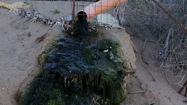 A Marinella di Selinunte passeggiando in spiaggia tra gli scarichi non proprio nascosti