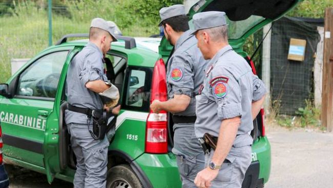 Marsala, controlli dei carabinieri forestali. Sanzionata una ditta
