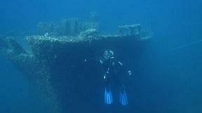 FAVIGNANA – Isole Egadi. La Posidonia cresce anche sui relitti sommersi