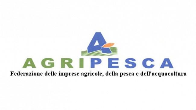 Agripesca, Ennesimo sequestro da parte delle autorità libiche di due natanti mazaresi,“Afrodite Pesca” e “Matteo Mazzarino”. Toni Scilla: è una vergogna