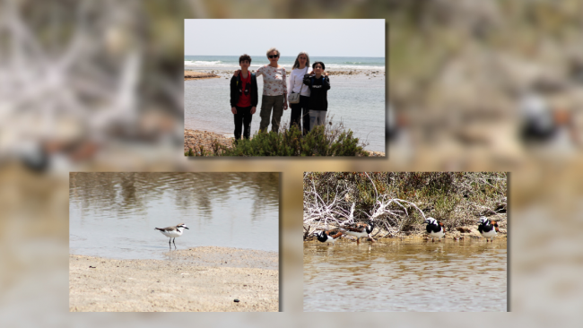 L’escursione naturalistica di domenica 28 aprile alla palude di Capo Feto