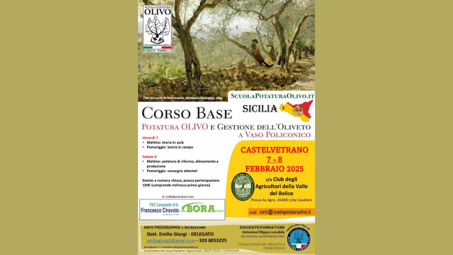 ​La Valle del Belice ospita un importante evento dedicato all’olivo e all’olivicoltura
