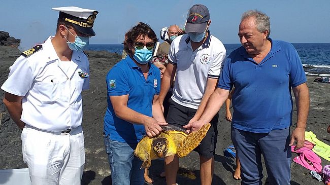 Pantelleria: torna in mare Puck, la tartaruga ferita, curata dal centro di Recupero Tartarughe Marine AMP Isole Egadi