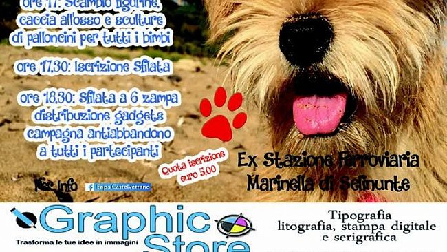 L’Enpa Castelvetrano organizza per domenica 1 luglio a Marinella di Selinunte la festa del bastardino