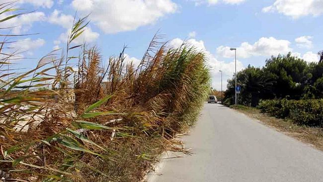 Più sicurezza e meno traffico allo Stagnone: nuove regole per la viabilità estiva