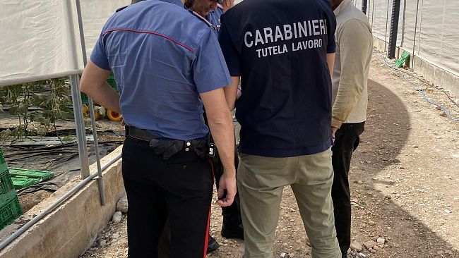 Lavoro nero e sicurezza, irregolari tutte le 18 aziende agricole ispezionate nel Palermitano