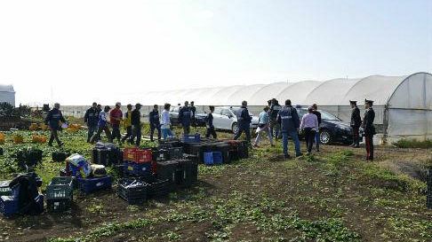 Controlli dei Carabinieri per lavoratori agricoli non regolarizzati