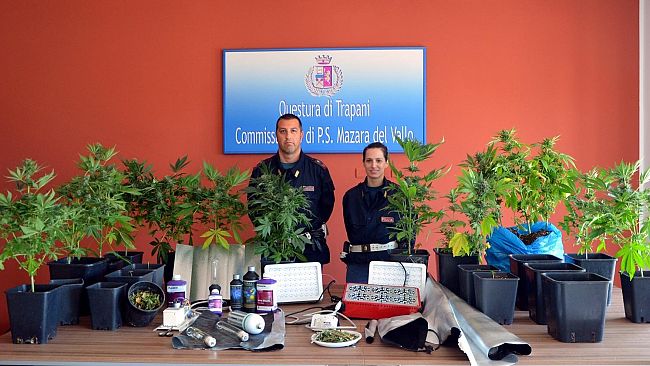 Arresto in flagranza di un  mazarese per coltivazione e produzione di  Marijuana
