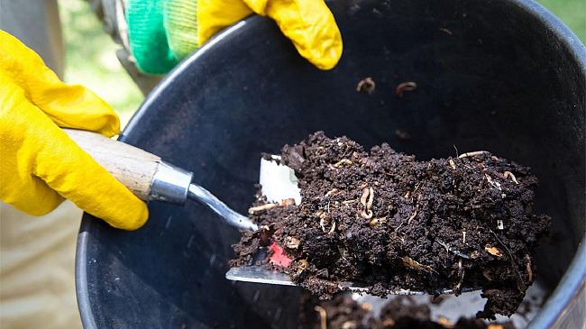 Agricoltura  e non solo… Rivitalizzare il terreno con la carta