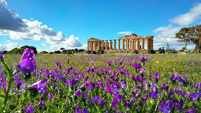 Concerto classico, soli e orchestra da camera sabato 30 marzo al Parco archeologico di Selinunte