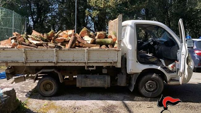 Erice, sorpresi a disboscare legna. Sindaca Toscano: «Appureremo i danni»