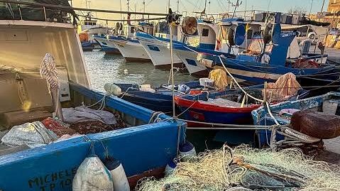 ​Pesca. Stanziati 17 milioni a sostegno del comparto, soddisfazione della categoria